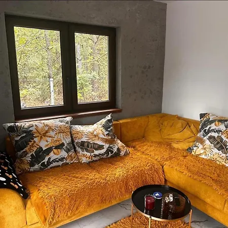 Дом отдыха Forest House *